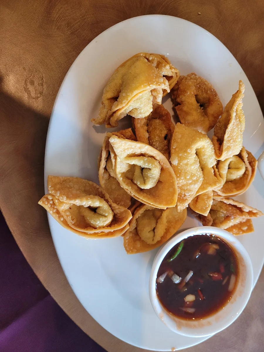 deep fried wontons 錦鹵炸雲吞
